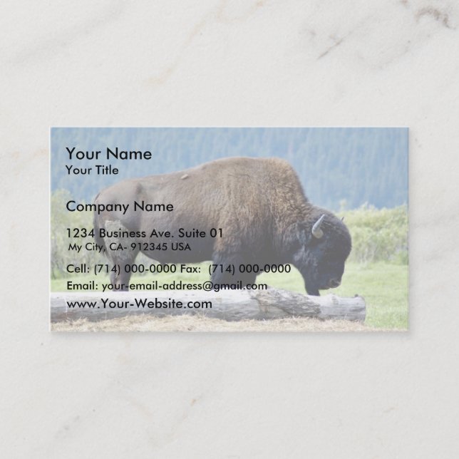 Carte De Visite Bison (Devant)
