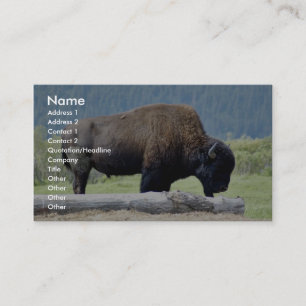 Carte De Visite Bison