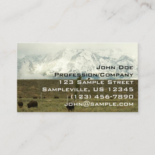 Carte De Visite Bison à Grand Teton National Park Photographie (Devant)