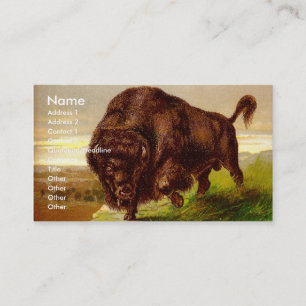 Carte De Visite Bison américain
