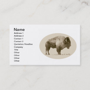 Carte De Visite Bison américain