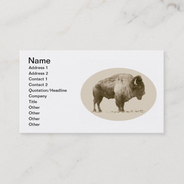 Carte De Visite Bison américain (Devant)