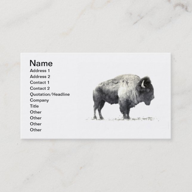 Carte De Visite Bison de plaines (Devant)