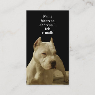 Carte de visite blanc de pitbull