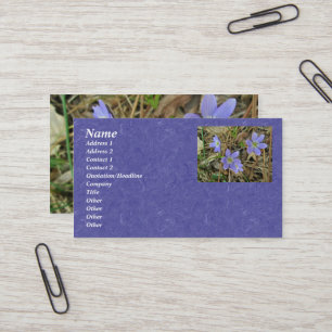 Carte de visite bleu doux Hepatica