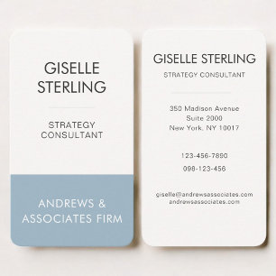 Carte De Visite Bleu Professionnel