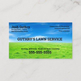 Carte De Visite Bliss Lawncare  Business Card