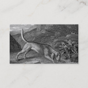 Carte De Visite Bloodhound en noir et blanc