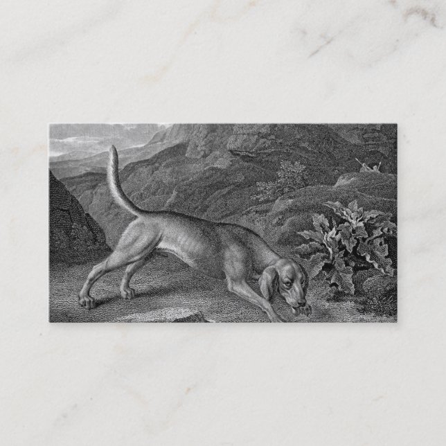 Carte De Visite Bloodhound en noir et blanc (Devant)