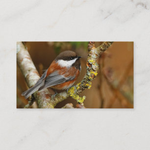 Carte De Visite Boeuf mignon à dos de châtaignier sur l'arbre à po