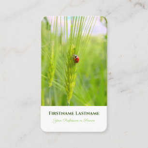 Carte De Visite Bonne chance ladybug coaching en santé mentale pos