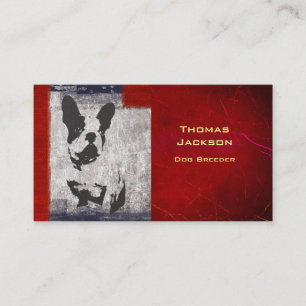 Carte De Visite Boston Terrier en noir et blanc avec frontière rou
