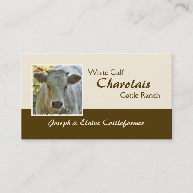 Carte De Visite Bouvelet ou génisse de boeuf du charolais (Devant)