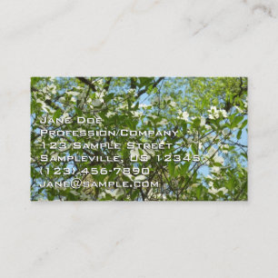 Carte De Visite Branche of Dogwood Blossoms Spring Trees