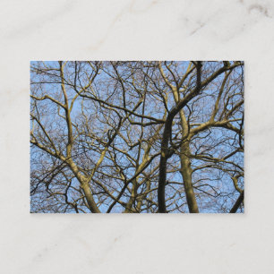 Carte De Visite Branches
