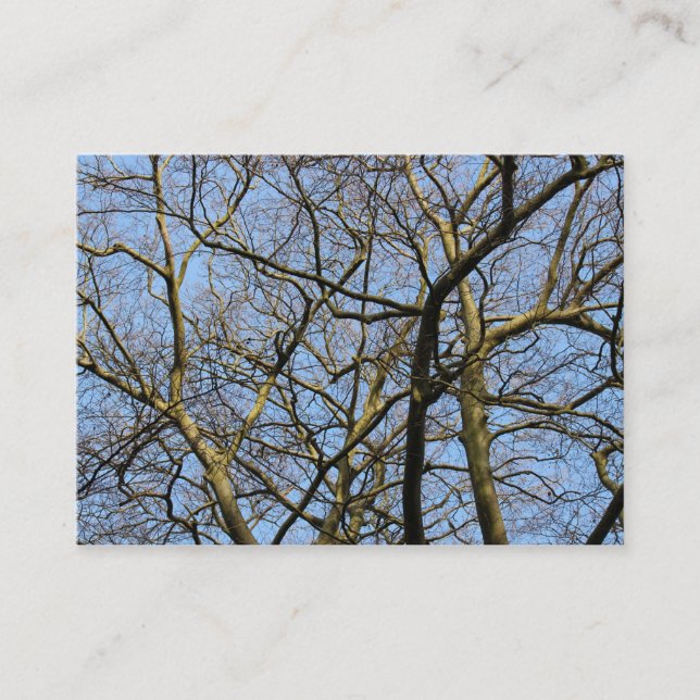 Carte De Visite Branches (Devant)
