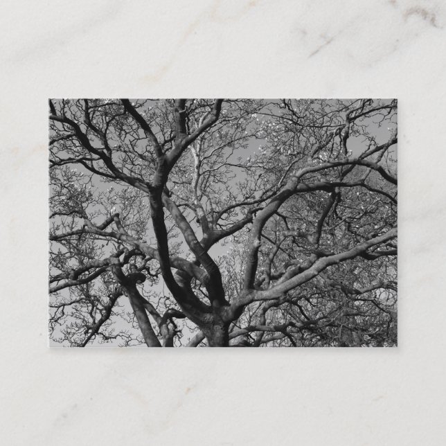 Carte De Visite Branches de Magnolia au début du printemps (Devant)