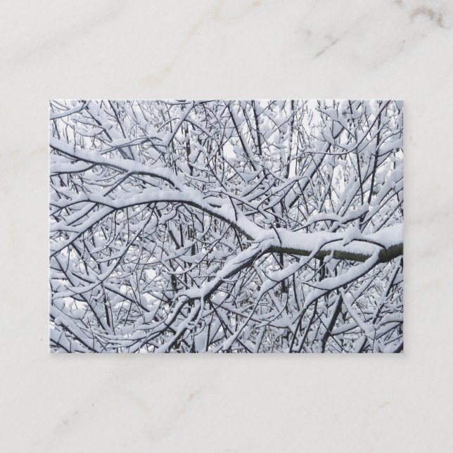 Carte De Visite Branches de neige (Devant)