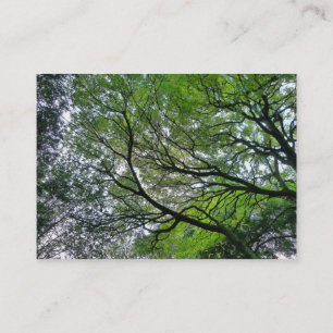 Carte De Visite Branches et Feuilles