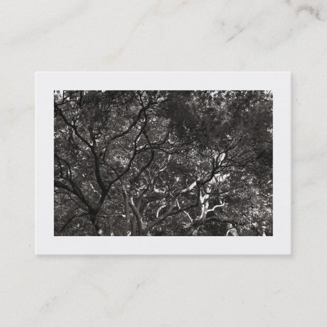 Carte De Visite Branches japonaises 01 (frontière) (Devant)