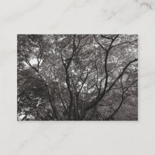 Carte De Visite Branches japonaises 02