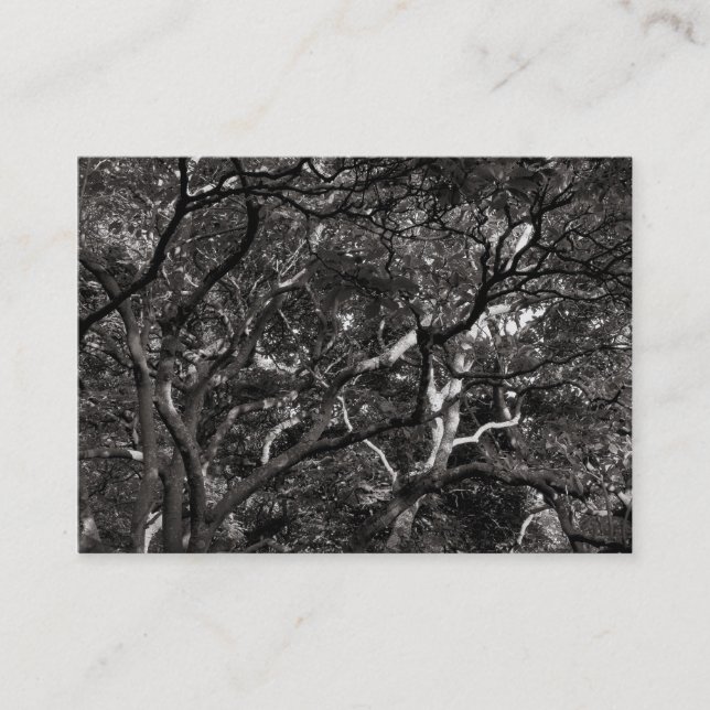 Carte De Visite Branches japonaises 03 (Devant)