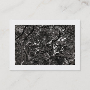 Carte De Visite Branches japonaises 03 (frontière)