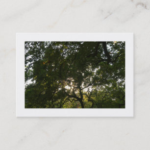 Carte De Visite Branches japonaises 04 (frontière)