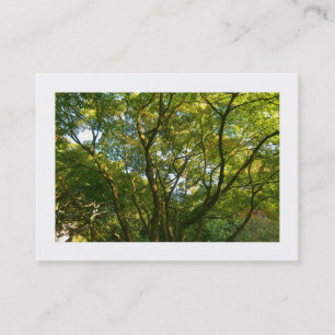 Carte De Visite Branches japonaises 06 (frontière)