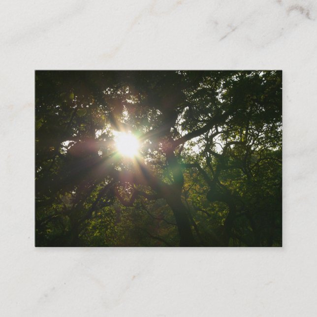 Carte De Visite Branches japonaises 07 (Devant)