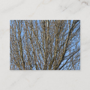 Carte De Visite Branches lumineuses