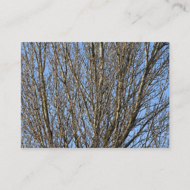 Carte De Visite Branches lumineuses (Devant)