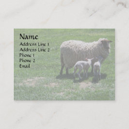 Carte De Visite Brebis avec des jumeaux