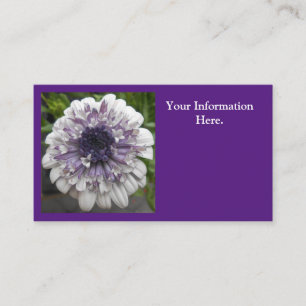 Carte De Visite Brett