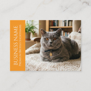 Carte De Visite British Shorthair Minimaliste Personnalisable