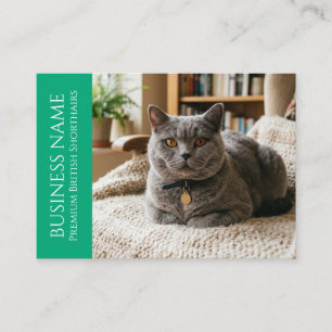 Carte De Visite British Shorthair minimaliste personnalisable