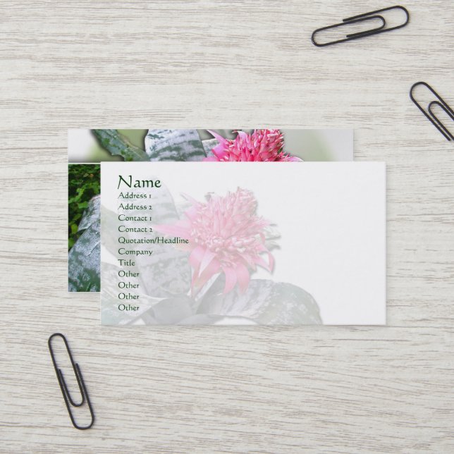 Carte De Visite Broméliade rose (Devant/Arrière en situation)