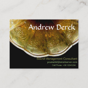 Carte de visite - bruit et musique