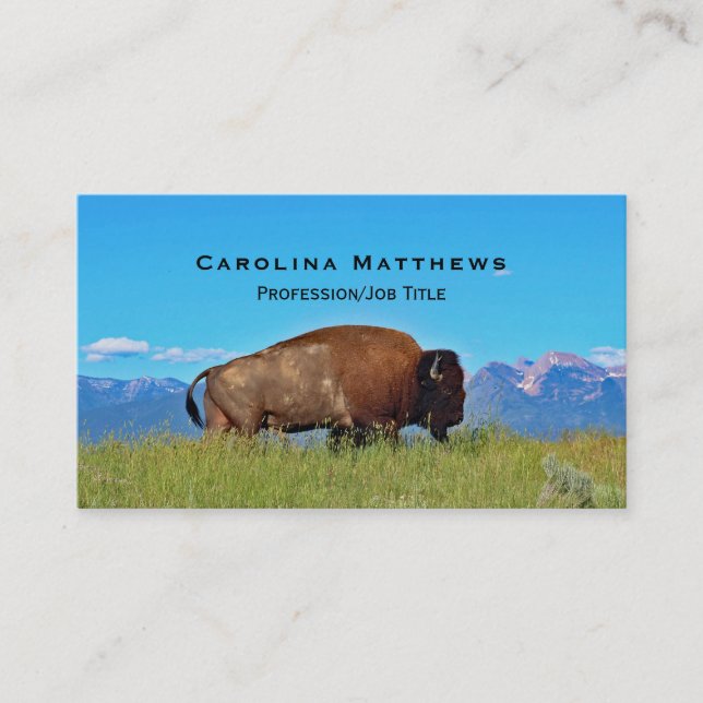 Carte De Visite Buffalo (Devant)