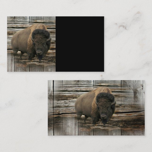 Carte De Visite Buffalo (Devant / Derrière)