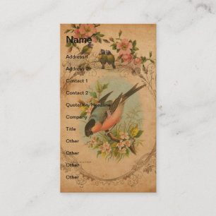 Carte De Visite Bulfinch Vintage