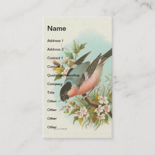Carte De Visite Bullfinch vintage