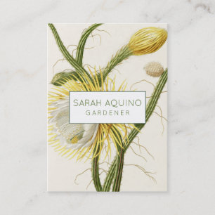 Carte De Visite Cactus au clair de lune