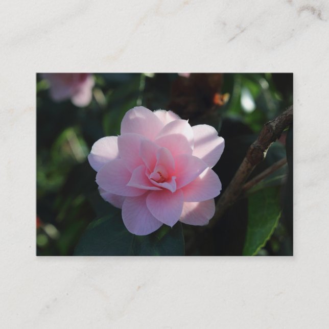 Carte De Visite Camellia rose (Devant)