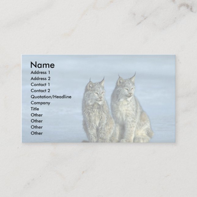 Carte De Visite Canada lynx, hiver, paire par ruisseau glacé (Devant)
