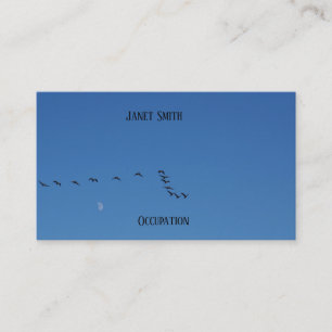 Carte De Visite Canadian geese