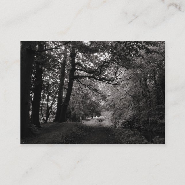 Carte De Visite Canal, Bute Park, Cardiff (Devant)