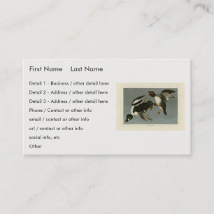 Carte De Visite Canard doré - photo d'Audubon's Birds of America