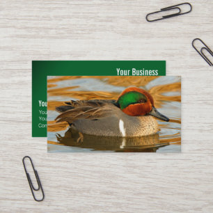 Carte De Visite Canard sarcelle à ailes vertes élégant sur l'étang