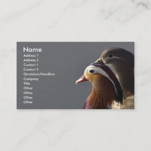 Carte De Visite Canards de mandarine